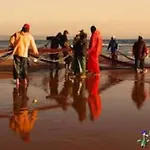 Nyaraló Casinha; Piscina/ Praia/ Lisboa