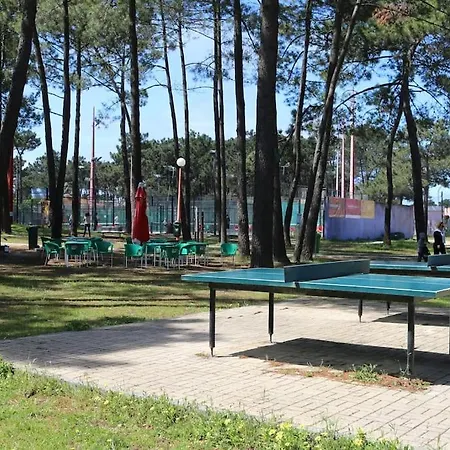 Casinha; Piscina/ Praia/ Lisboa بيت للعطل