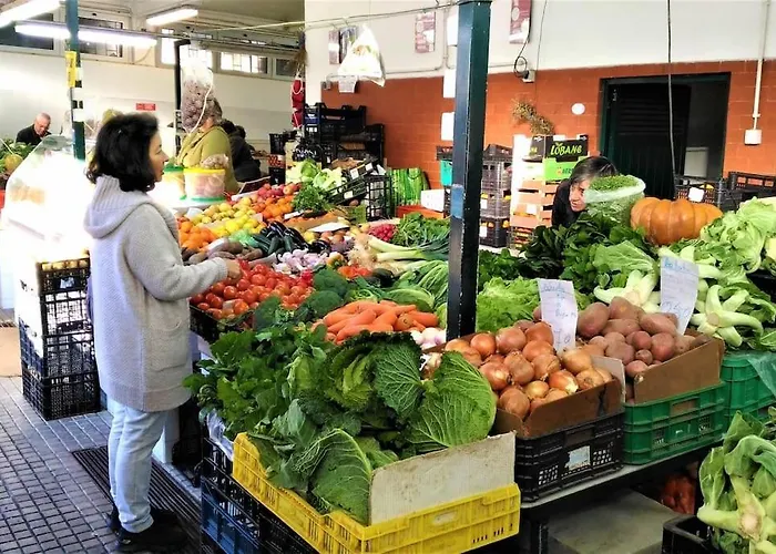 Casinha; Piscina/ Praia/ Lisboa Σπίτι διακοπών Aroeira (Setubal)