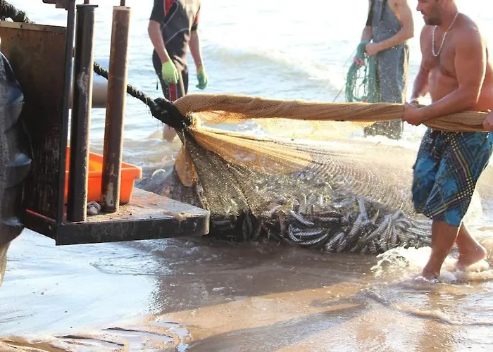 Casinha; Piscina/ Praia/ Lisboa Σπίτι διακοπών *