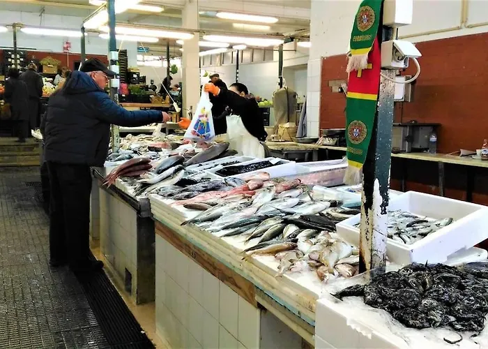 Σπίτι διακοπών Casinha; Piscina/ Praia/ Lisboa